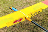 Pilot Cilantro - 2000 mm electric/glider kit