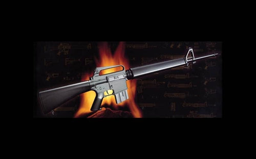 AR15/M16/M4 Series - M16 1:3 Scale Replica Gun