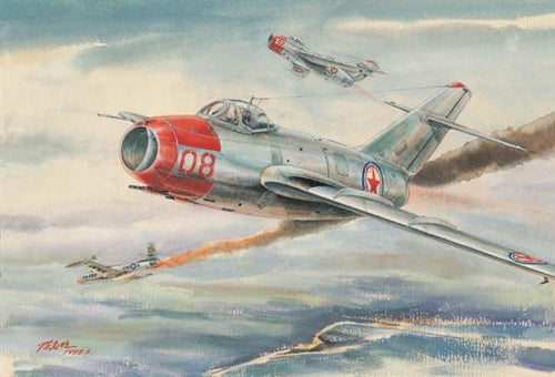 Trumpeter 1/48 MiG-15bis Fagot B 02806