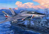 Trumpeter 1/32 F-14D Super Tomcat 03203