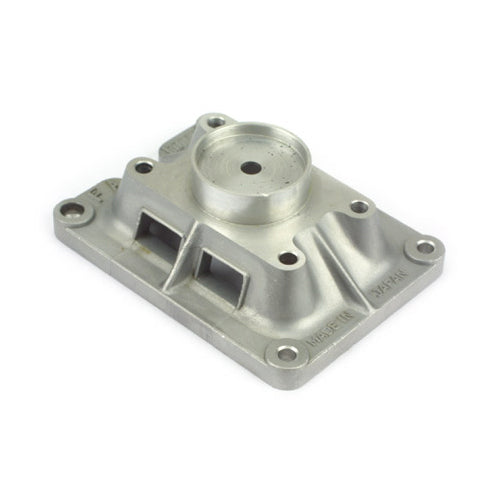 SAI100T119B - Rear Cover and Engine Mount