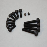 SAI100T31 - Crankcase Screw Set