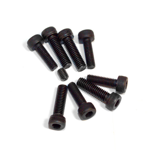 SAI1431 - Crankcase Screw Set