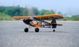 DW Savage Bobber ARF 1.0M Includes Motor/ ESC/ 6 servos