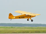 Black Horse Piper Cub ARTF