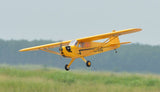 Black Horse Piper Cub ARTF