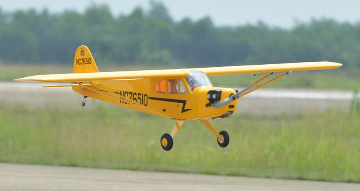 Black Horse Piper Cub ARTF