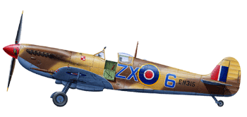 Tamiya 1/32 Supermarine Spitfire Mk.IXc 60319