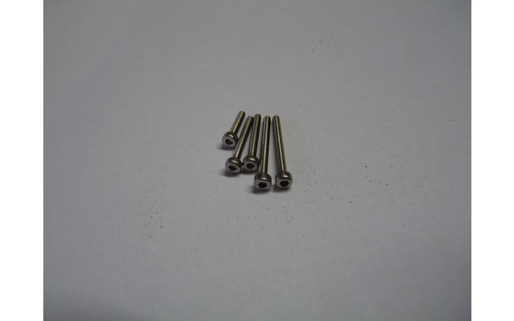 M2 x 25MM pk10 Allen Socket head screw Stainless A2