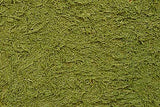 Tamiya Grass Green Texture Paint 87111