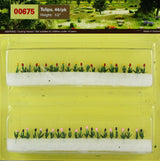 Scenic accessories - Tulips