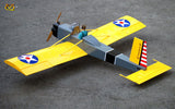 VQ Volksplane  ARTF    (Electric only -US Version)