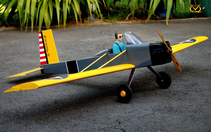VQ Volksplane  ARTF    (Electric only -US Version)
