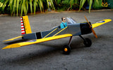 VQ Volksplane  ARTF    (Electric only -US Version)
