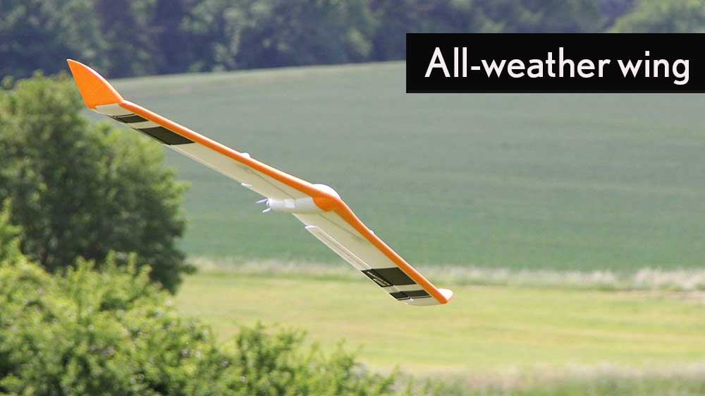 Multiplex Kit FunWing (Glider version)