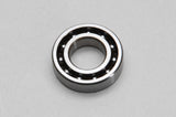 Bearing 24 x 12 x 6 Plastic Cage