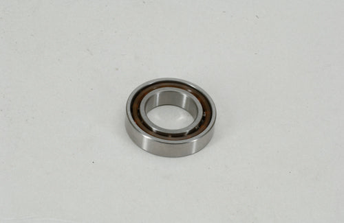 Bearing 30 x 17 x 8 Plastic Cage