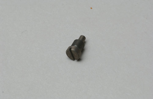 Throttle Stop Screw - (6H/8H)