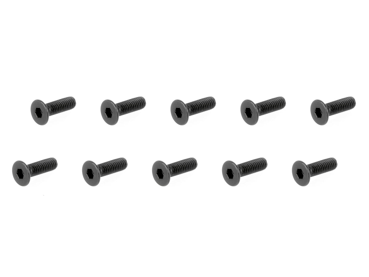 Flat Head Screw 3x10mm (10)