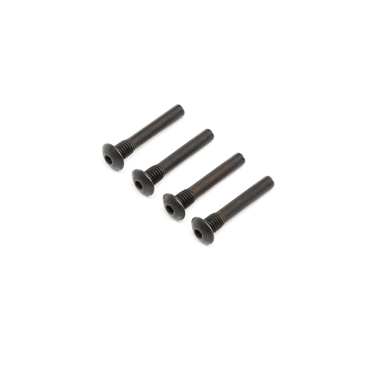 Hinge Pin Screw Outer (4): Super Baja Rey